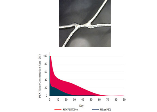 Polymer free Coating