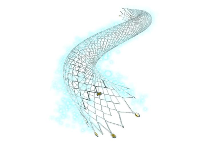 Medicated Stent