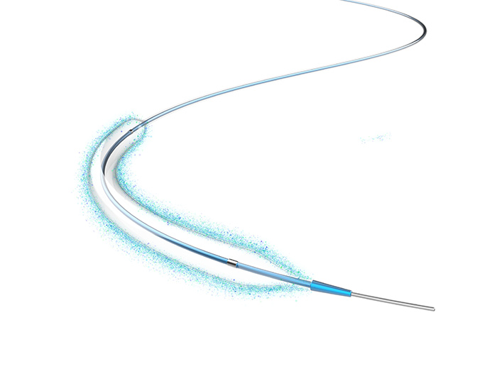 Drug Coated Balloon Catheter