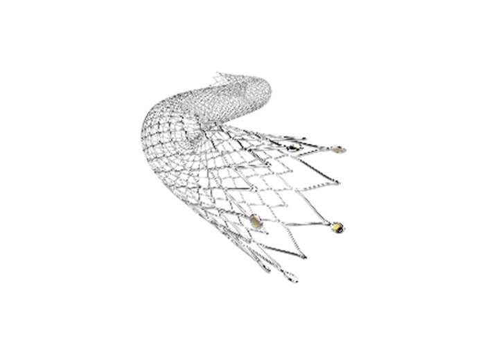 Peripheral Stent System