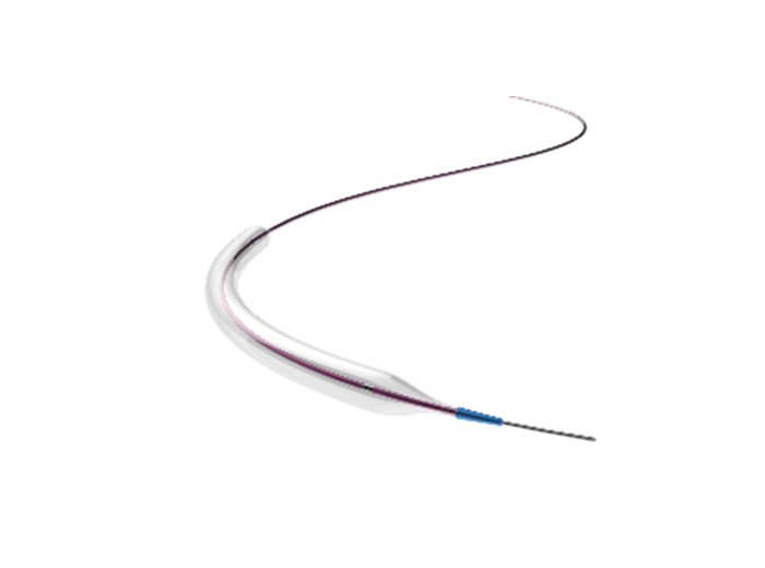 gateway pta balloon catheter