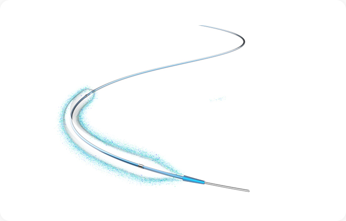 Drug Coated PTA Balloon Catheter