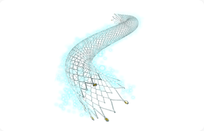 Peripheral Drug-eluting Stent System