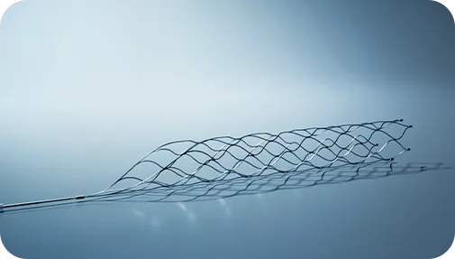 Indications of Thrombite™ Clot Retriever Device