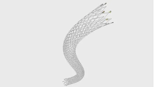 Indications of ZENFlex™ Peripheral Stent System