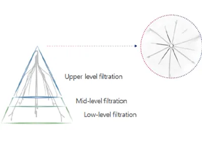 Triple Filtration Mechanism