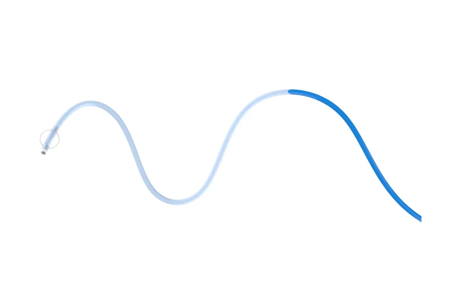 Dayv™ Balloon Guide Catheter