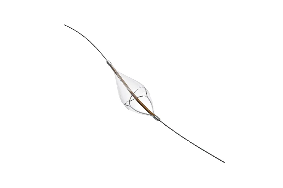 pterosaur 900 600