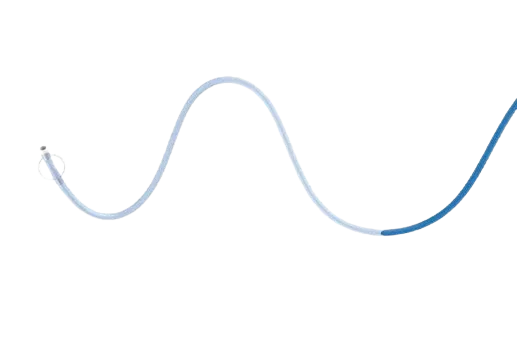 Dayv™ Balloon Guide Catheter
