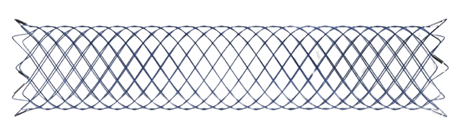 falco-intracranial-stent.png falco-intracranial-stent.png